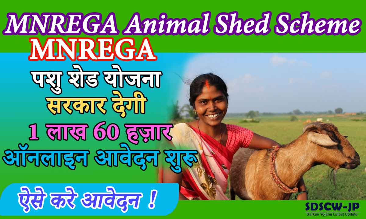 MGNREGA Pashu Shed Yojana 2024 You will get Rs 1,60,000 to build animal shed, apply from here