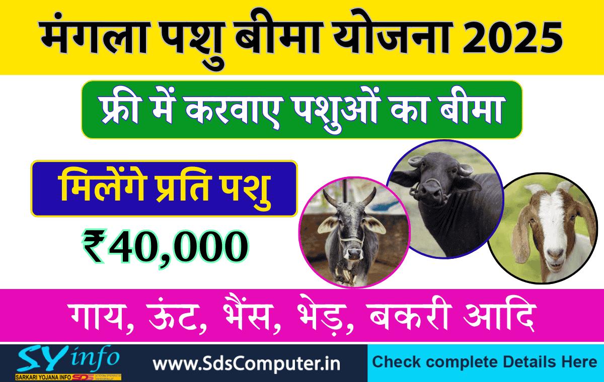 मंगला पशु बीमा योजना में होगा 21 लाख पशुओं का मुफ्त बीमा, जानें योजना की पूरी जानकारी: CM Mangla Pashu Bima Yojana